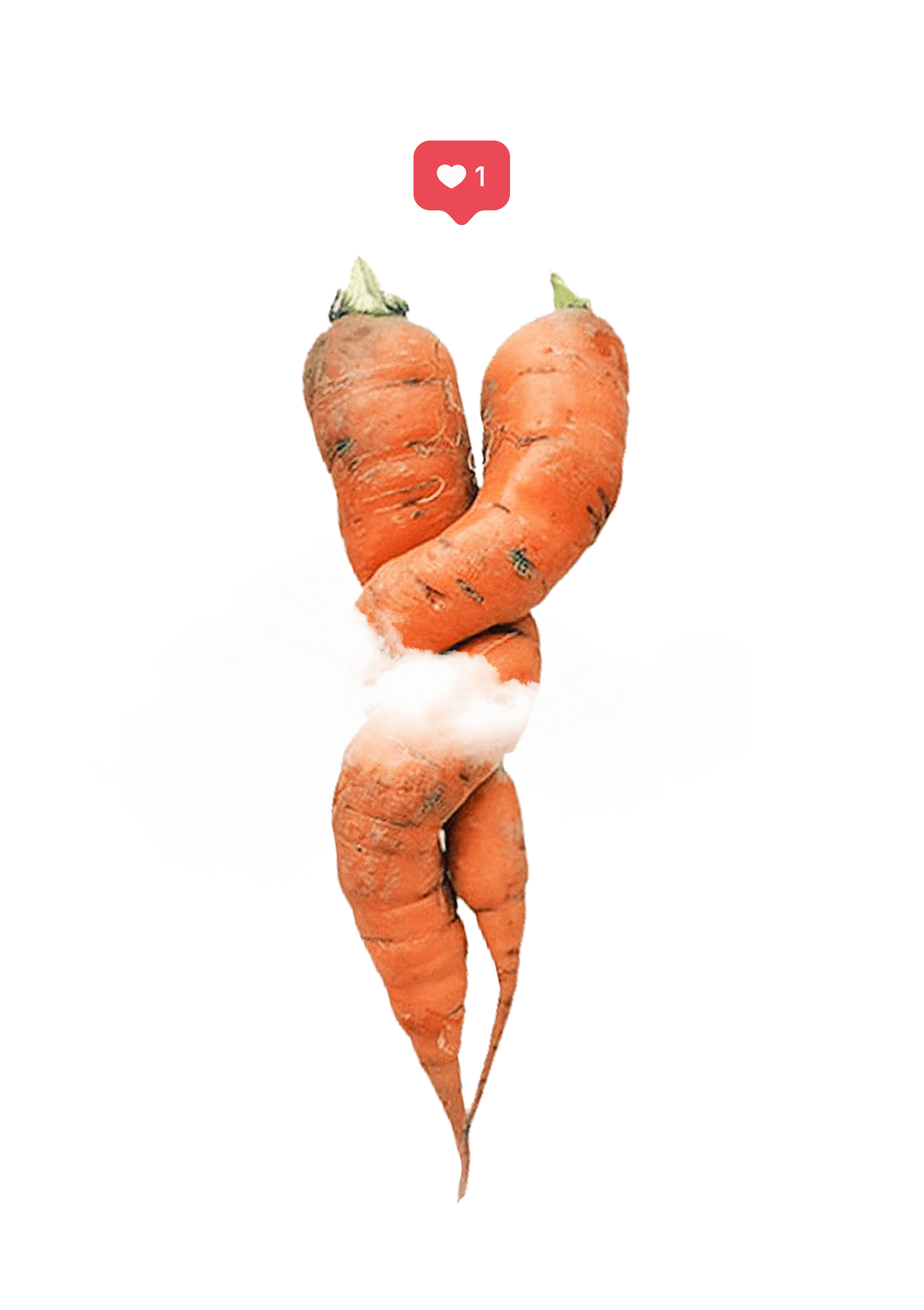 zanahoria remolona